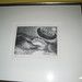 Evelyn Forte Photo 11