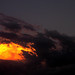 Joseph Coppola Photo 12