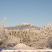 James Hoar Photo 6
