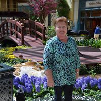 Carol Wolfe Photo 47