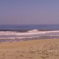 Diane Boyer Photo 25