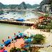 Rocky Vang Photo 6
