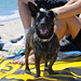 Rudy Long Photo 11