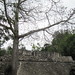Hernan Maya Photo 3