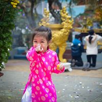 Viet Dinh Photo 22