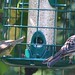 Debra Bunting Photo 1