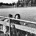 Kendra Law Photo 5