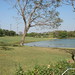 Ryan Gerhard Photo 6