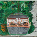 Ming Tse Photo 4