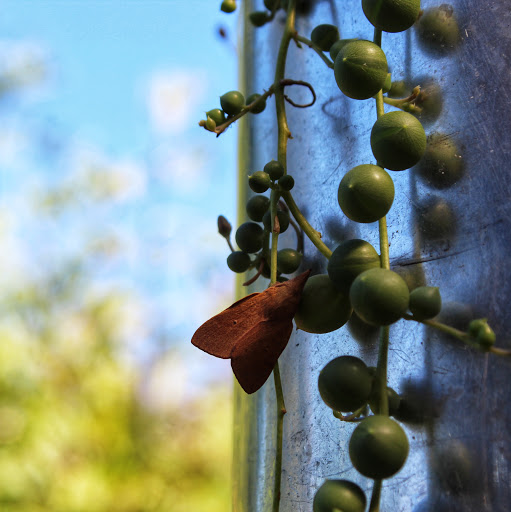 Nicole Wild Photo 22