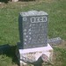 William Beck Photo 13