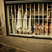 Paul Bryde Photo 10