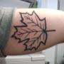 Adam Maple Photo 9