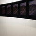 Douglas Rossi Photo 9