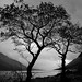 Glen Fisher Photo 6