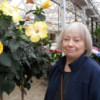 Jacqueline Godfrey Photo 13