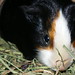 Timothy Lay Photo 6