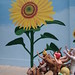 Daniel Kelley Photo 10