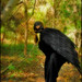 Leslie Crow Photo 5