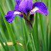 Morgan Blom Photo 6