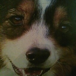 Teresa Mills Photo 39