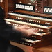 Robert Skinner Photo 12