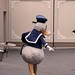 Donald Anselmo Photo 7