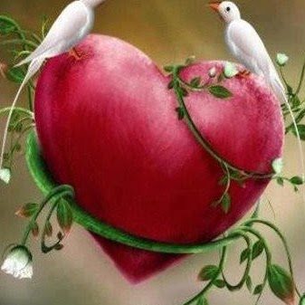 Nihal Sinha Photo 8