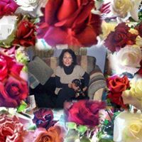 Debra Allred Photo 13