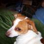 Debra Mitchell Photo 23
