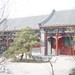 Jun Wang Photo 11