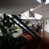 David Dow Photo 18