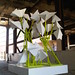 Jerry Bloom Photo 5