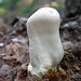 Robert Forsyth Photo 15