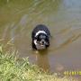Gary Petersen Photo 21