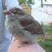 Sean Bird Photo 5