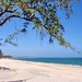 Thuan Phan Photo 8