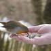 Wendy Forbes Photo 10