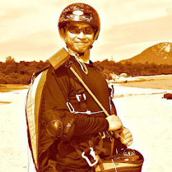 Joel Li Photo 19