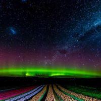 Todd Workman Photo 20