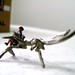 Andrew Alper Photo 10