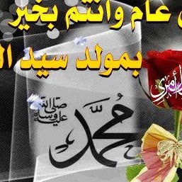 Tarek Kahel Photo 4