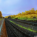 John Patin Photo 8