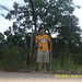 Kyle Schuler Photo 9