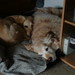 Bonnie Sandy Photo 8