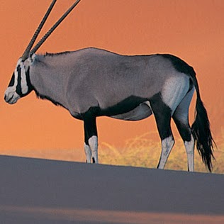 John Weymouth Photo 24