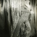 Richard Rudy Photo 6