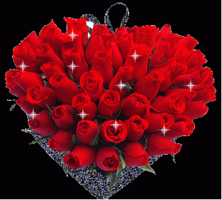 Wael Abdallah Photo 12