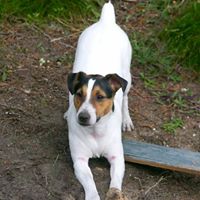 Janice Sharpe Photo 8