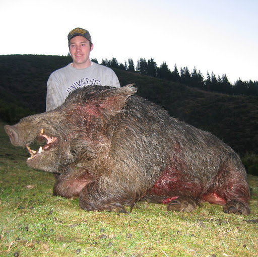 David Timm Photo 35